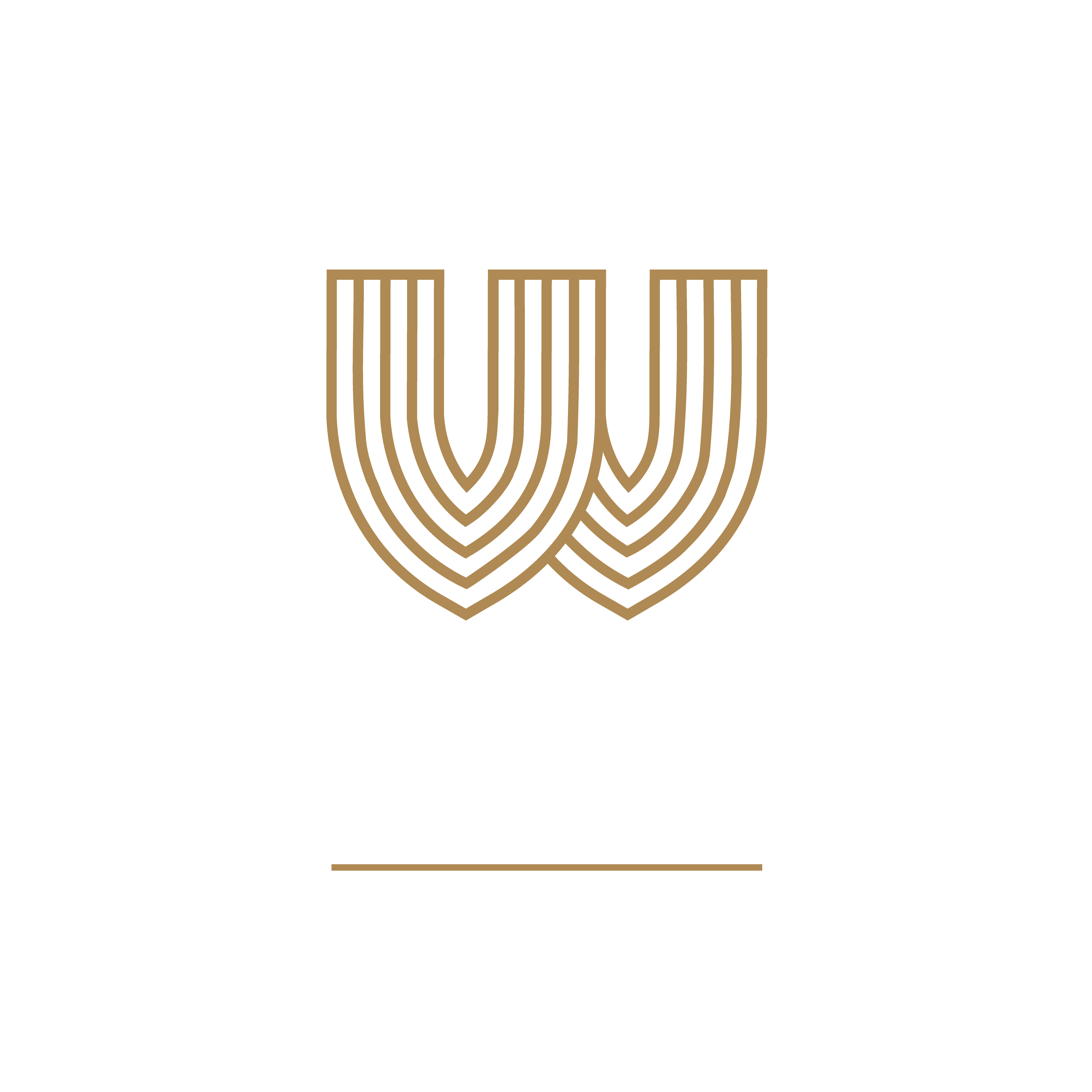 Westminister Financial Solutions